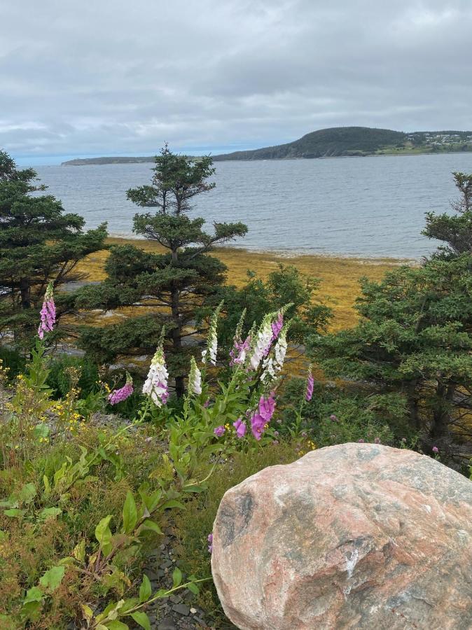 Holiday home Oceanfront Rocky Harbour